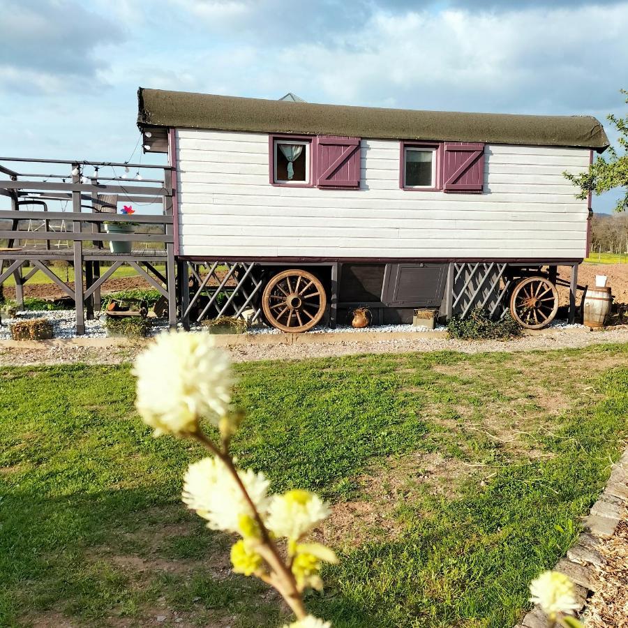 La Roulotte Belle Fleur Hotell Saint-Nabord Eksteriør bilde